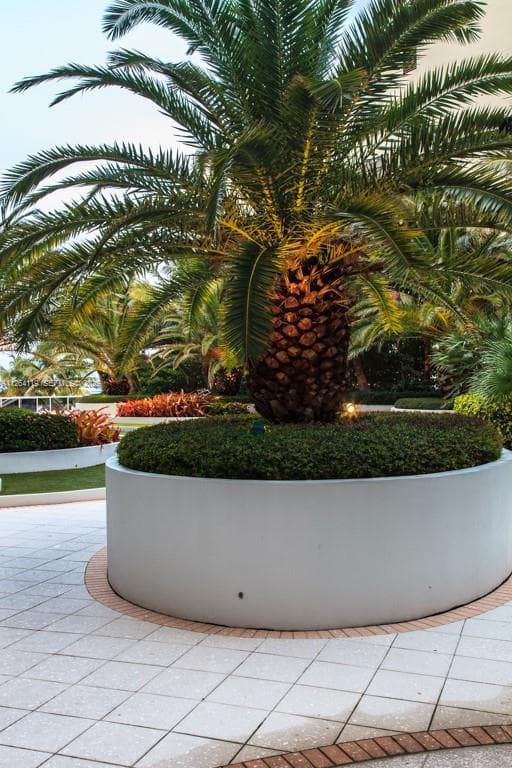 The Decoplage · #943 in Miami Beach - Photo 5