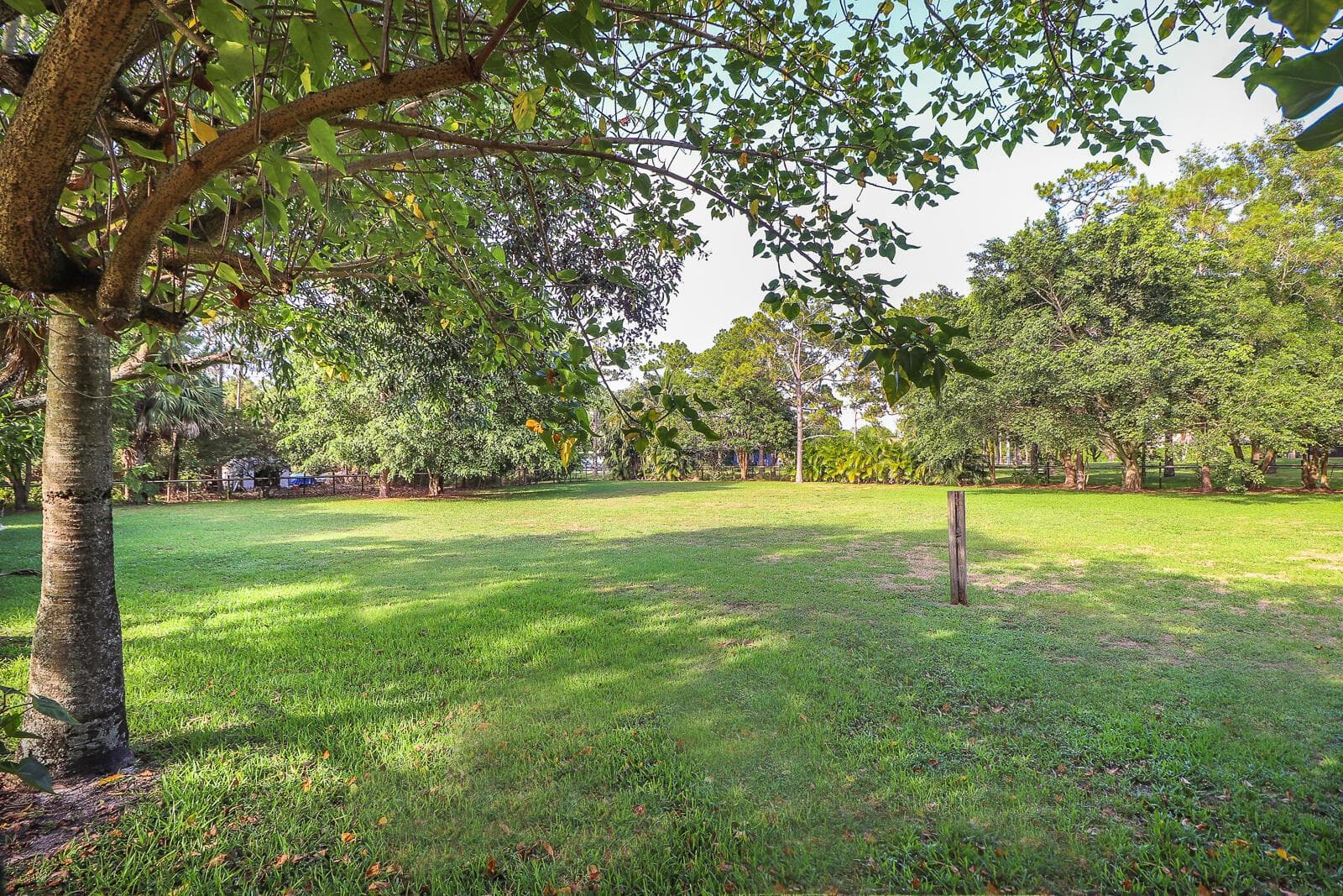 45-Back Yard