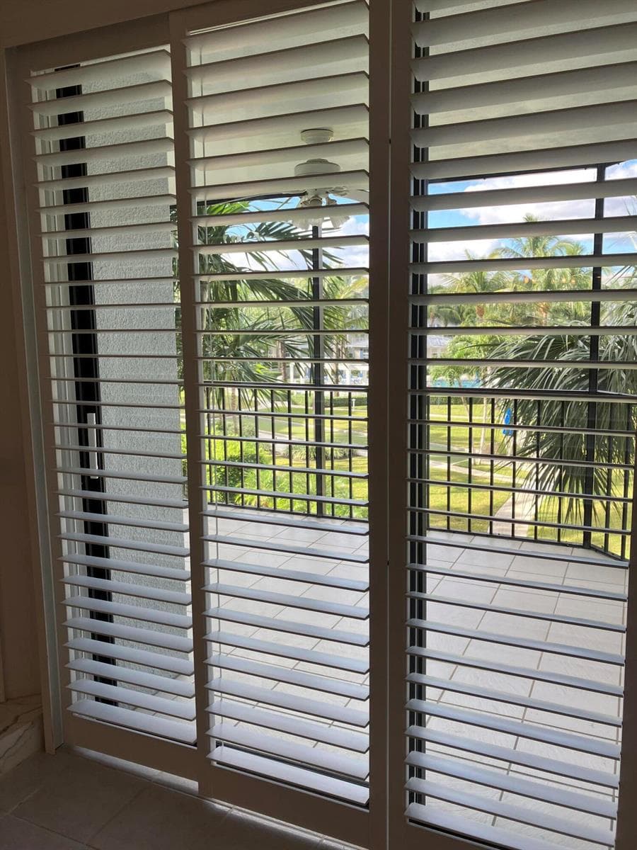 View of garden from living room
