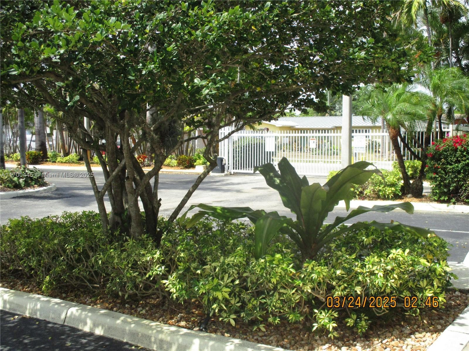 WASHINGTON PALMS CONDO · #2 in Hollywood - Photo 2