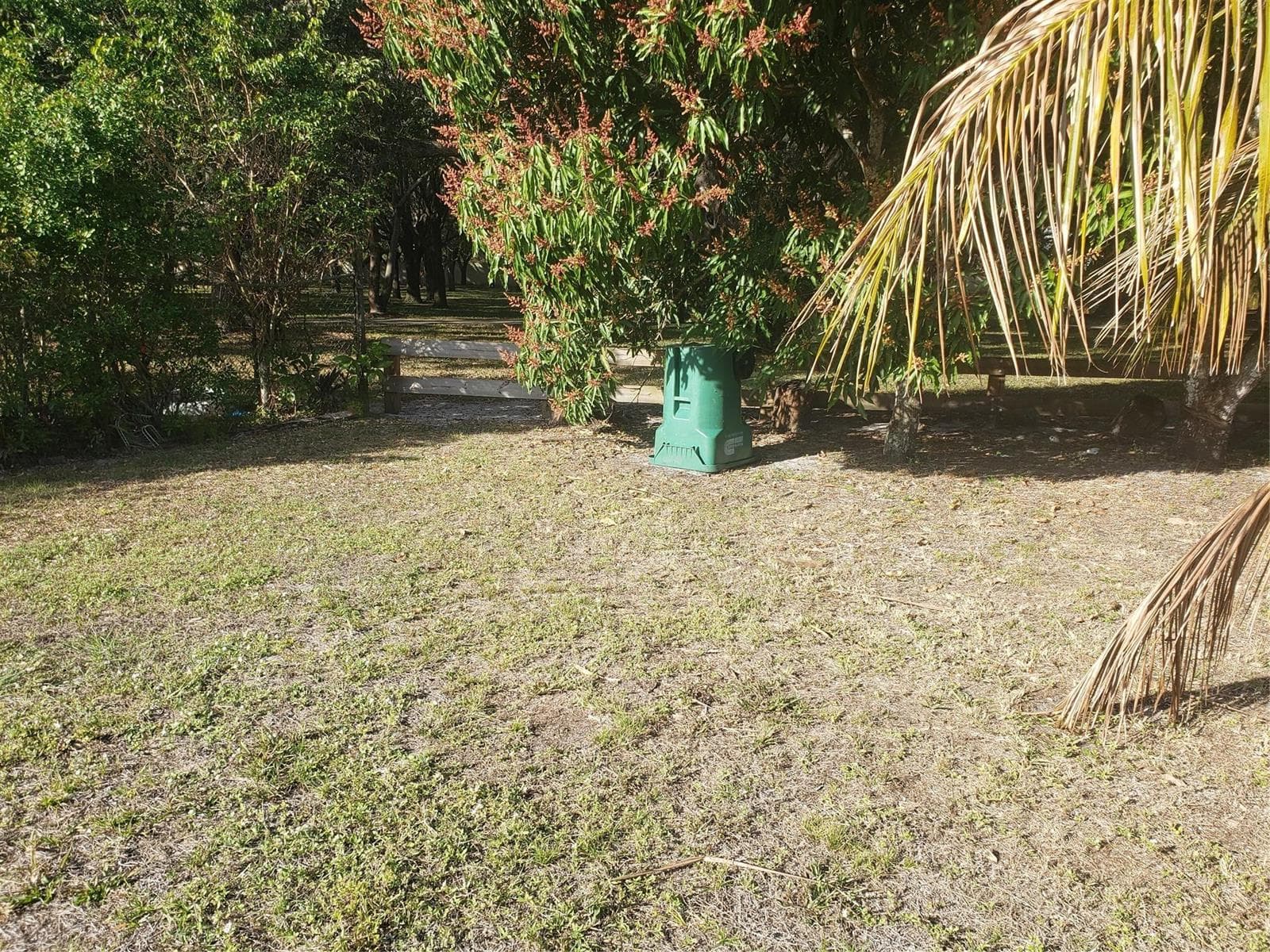 Photo 42