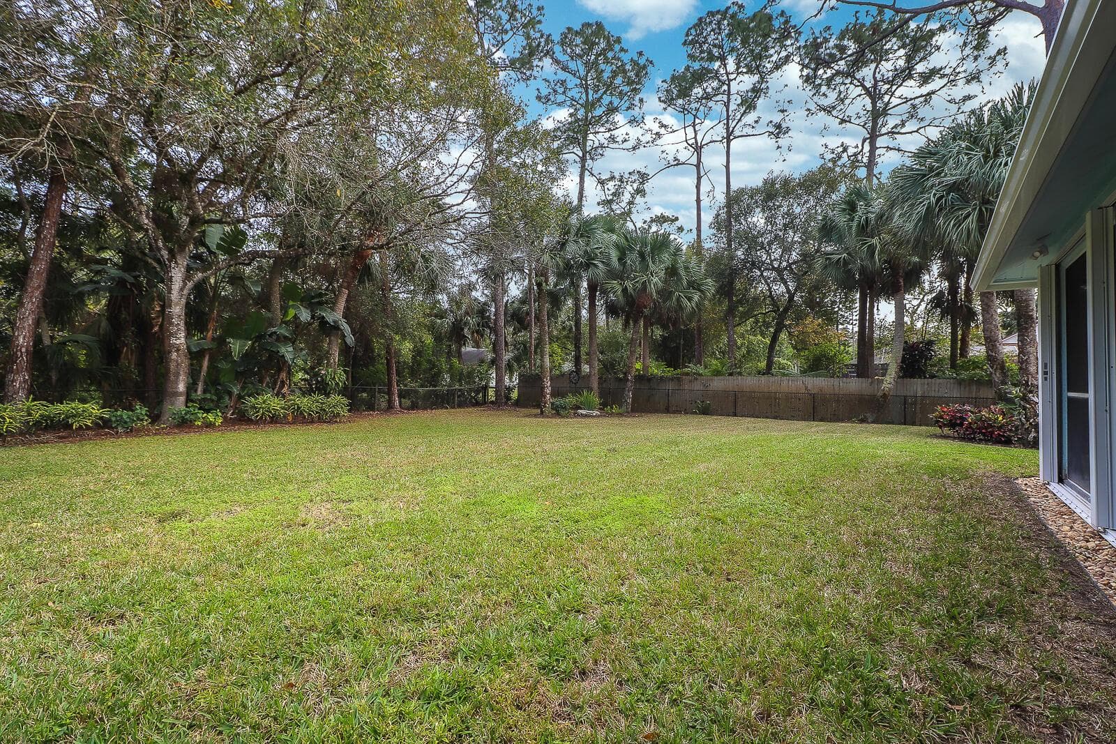 38-Back yard