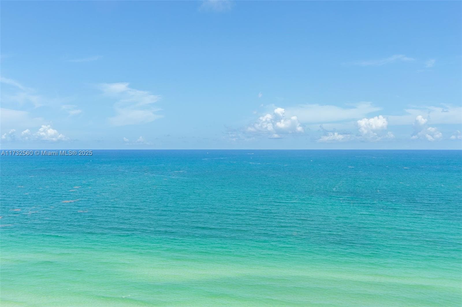 Castle Beach Club · #1623 in Miami Beach - Photo 11