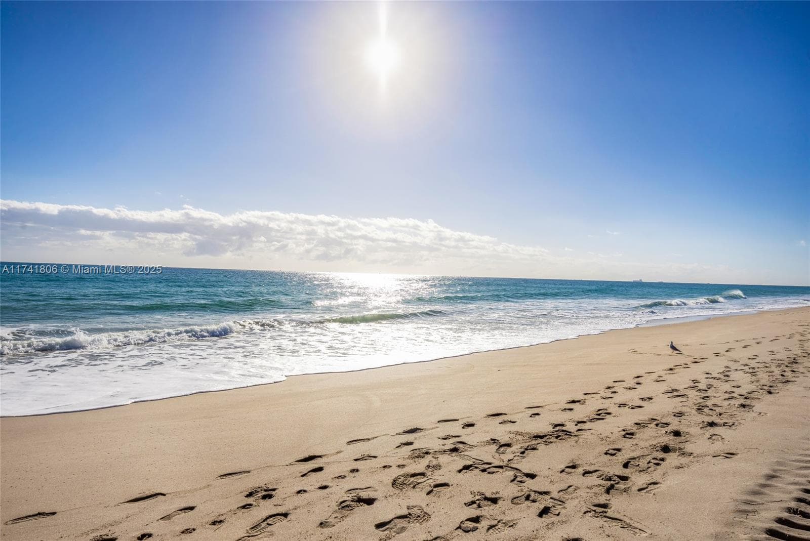 GALT OCEAN TERRACE · #604 in Fort Lauderdale - Photo 44