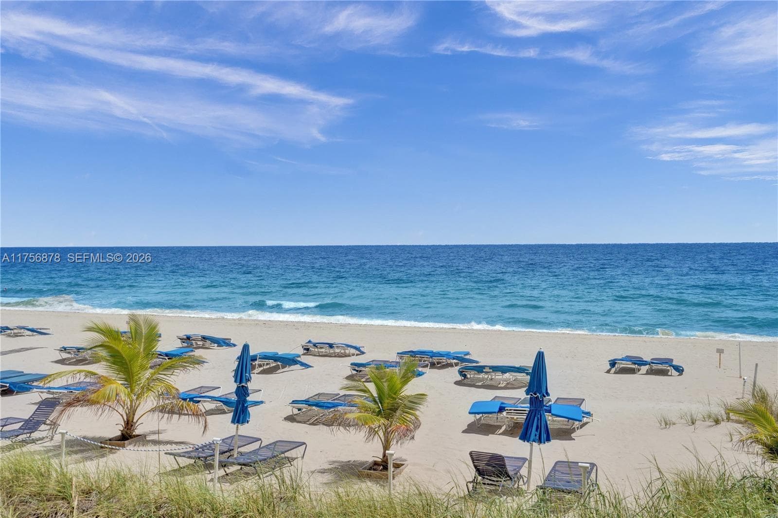 Royal Ambassador · #402 in Fort Lauderdale - Photo 27