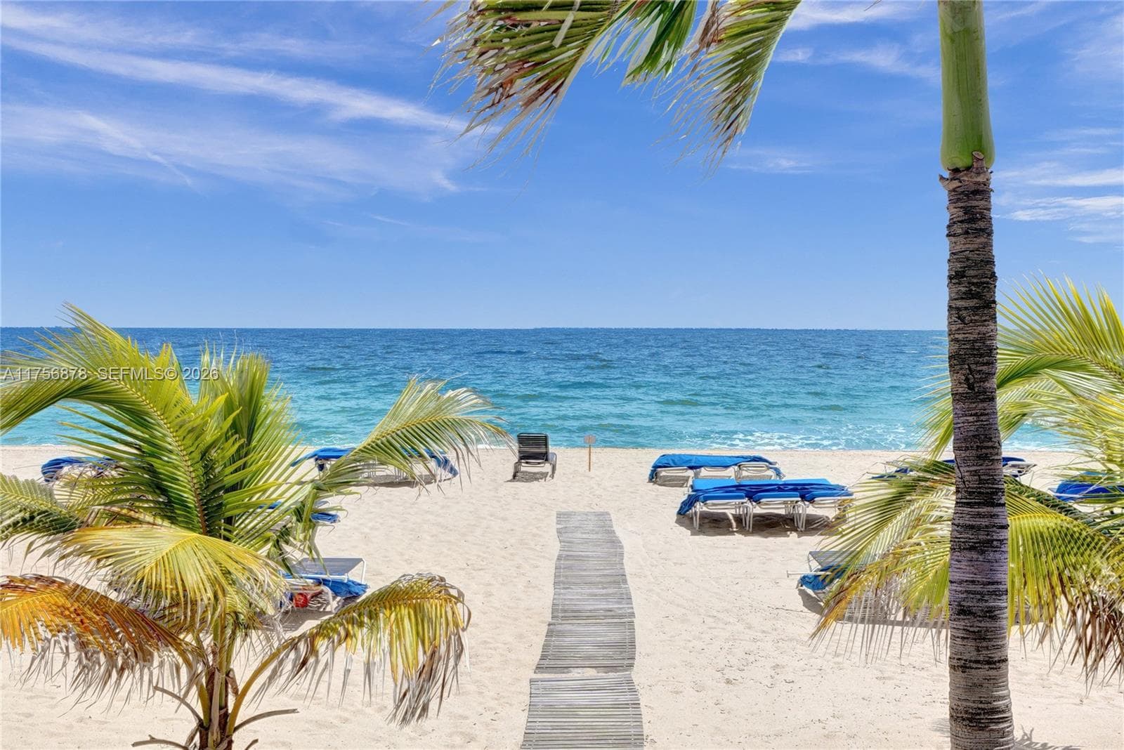 Royal Ambassador · #402 in Fort Lauderdale - Photo 26