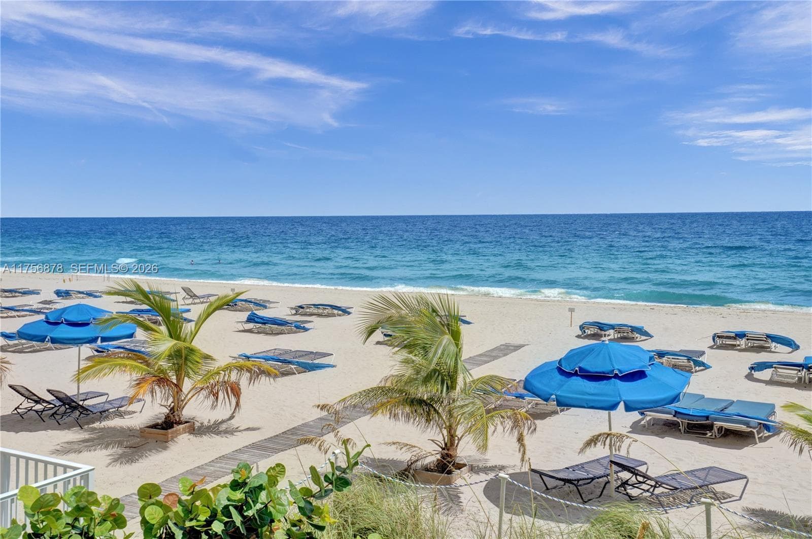 Royal Ambassador · #402 in Fort Lauderdale - Photo 4