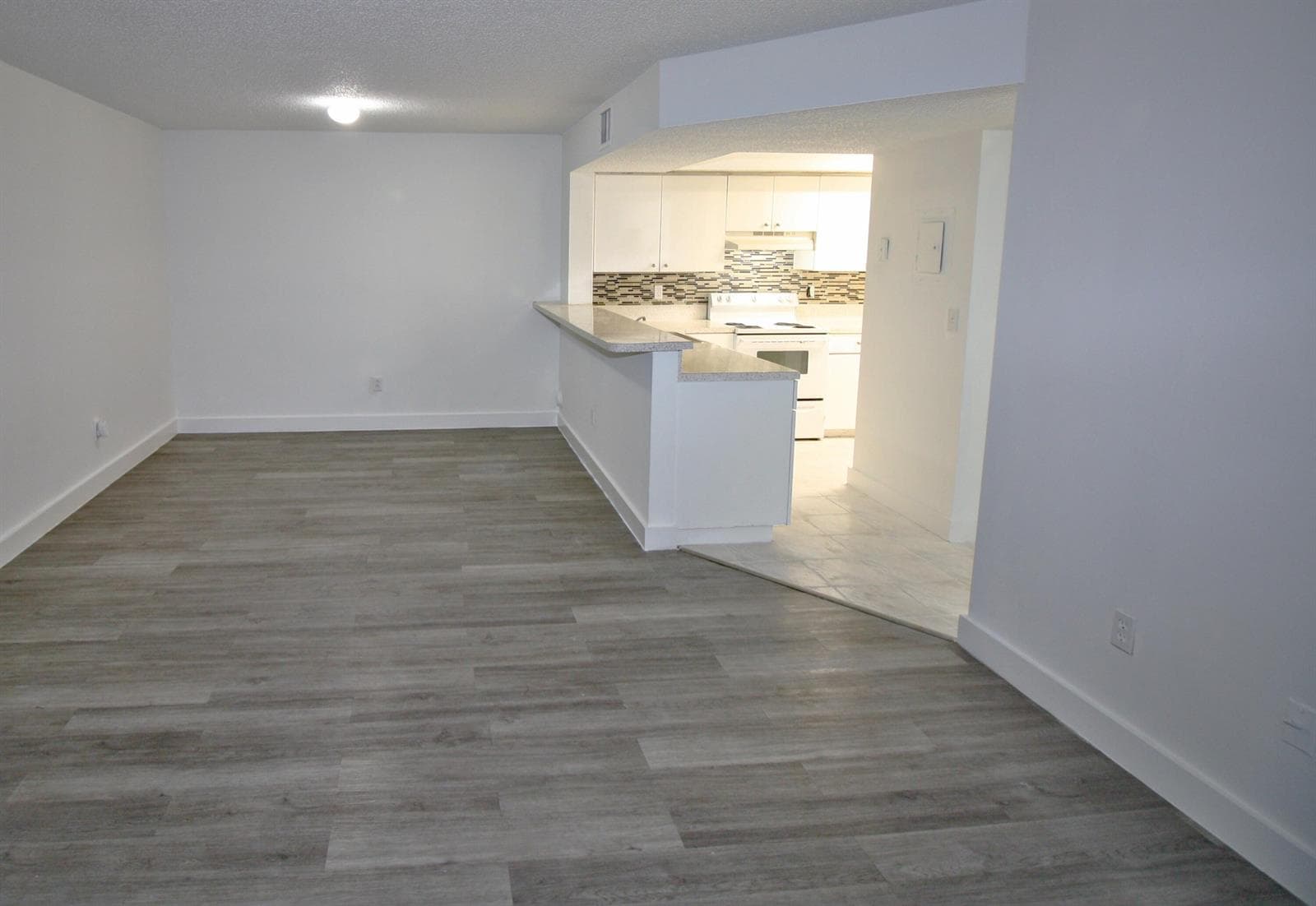Living-Kitchen