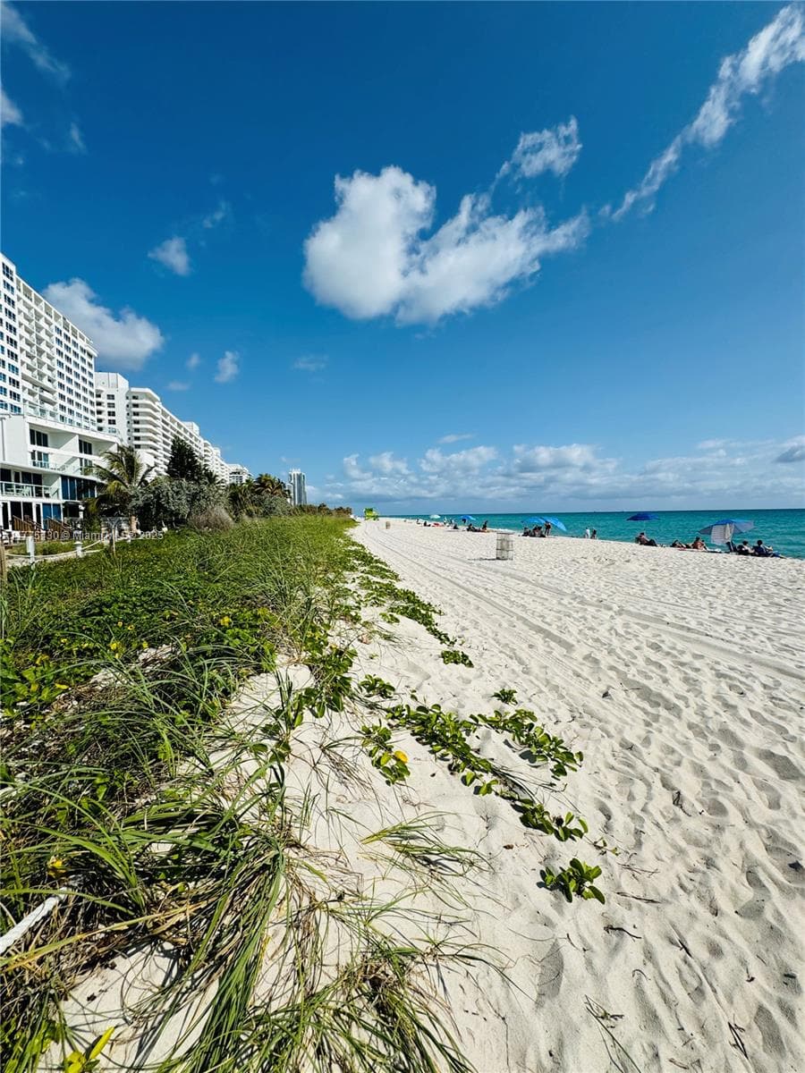 Castle Beach Club · #1520 in Miami Beach - Photo 36