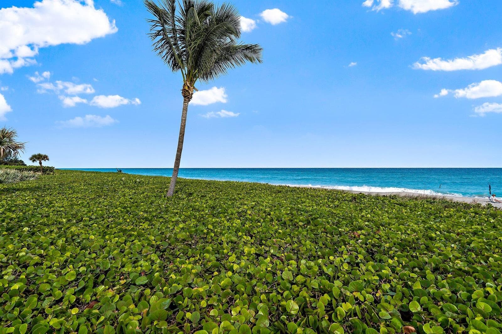 007-120CelestialWay-201-JunoBeach-SMALL