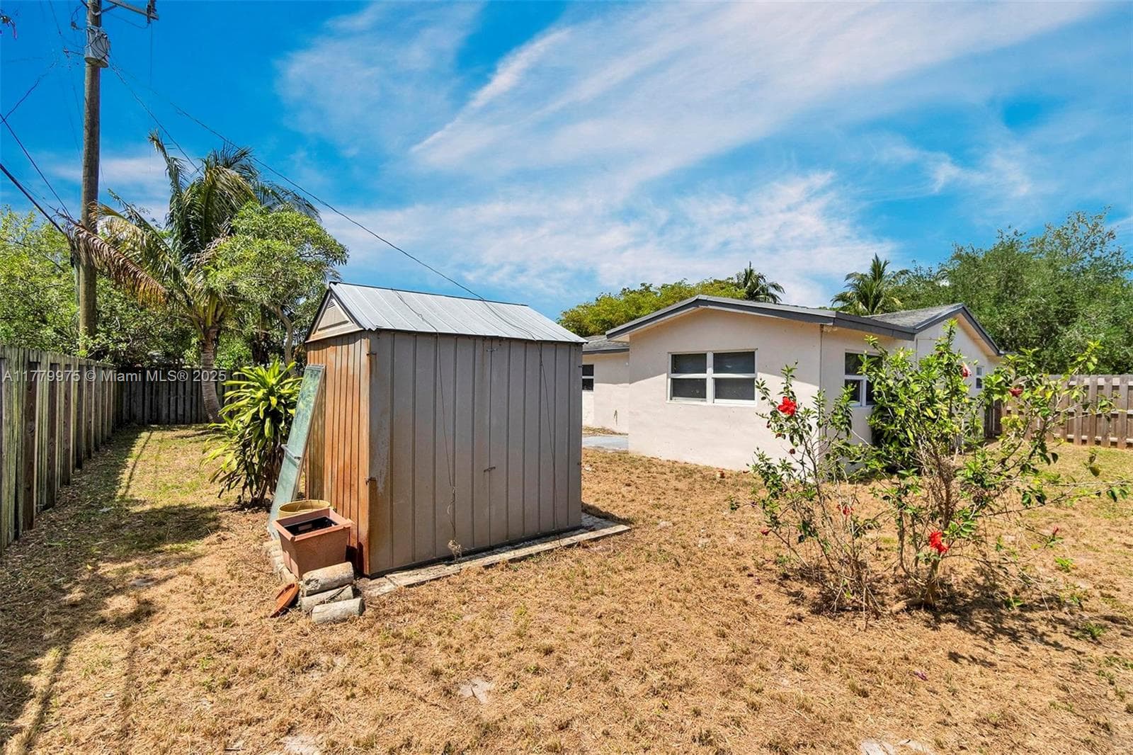 The shed in the back yard.