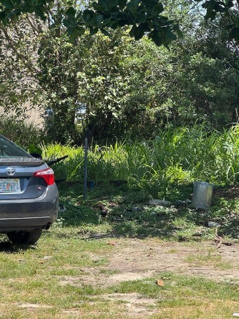 10250 SW 177th St photo 2