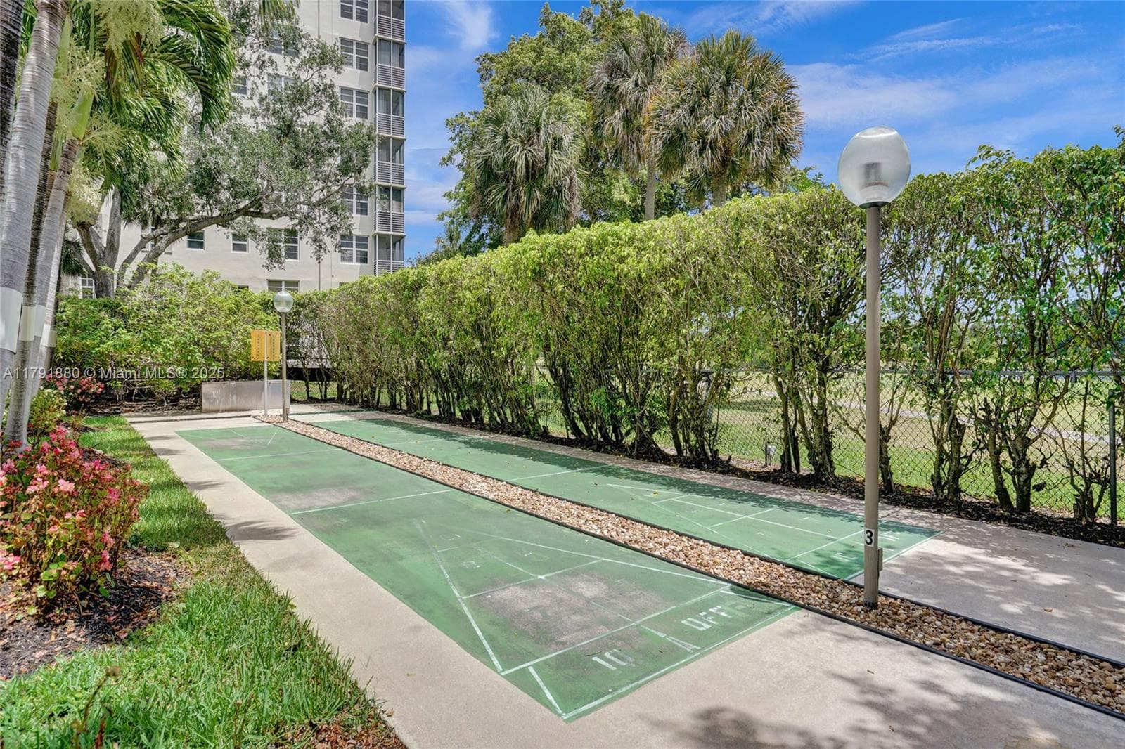 Shuffleboard and More
