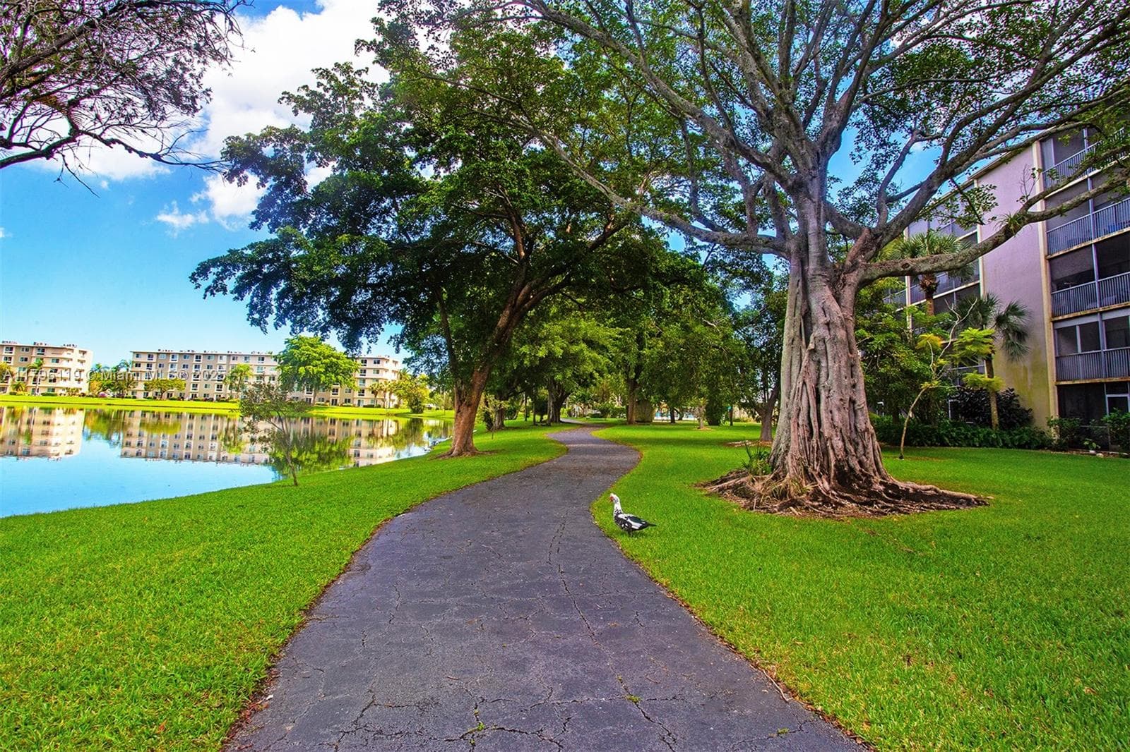 CYPRESS BEND CONDOMINIUM · #102 in Pompano Beach - Photo 56