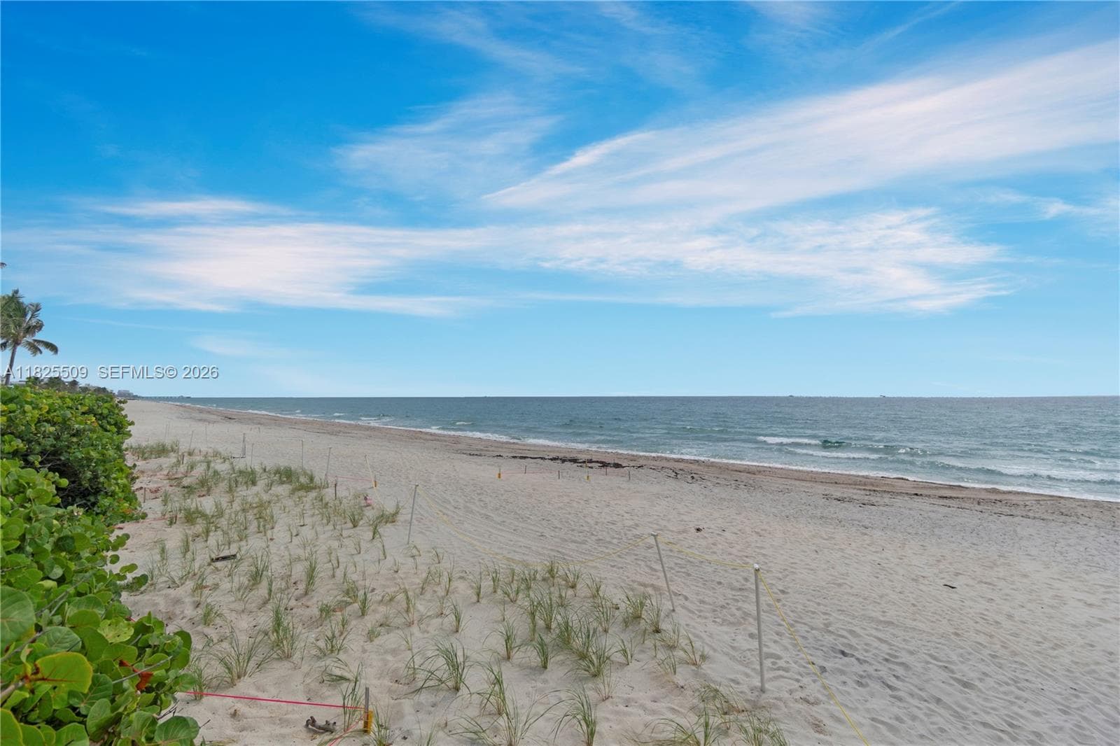 HILLSBORO WINDSOR CONDO · #111 in Hillsboro Beach - Photo 50
