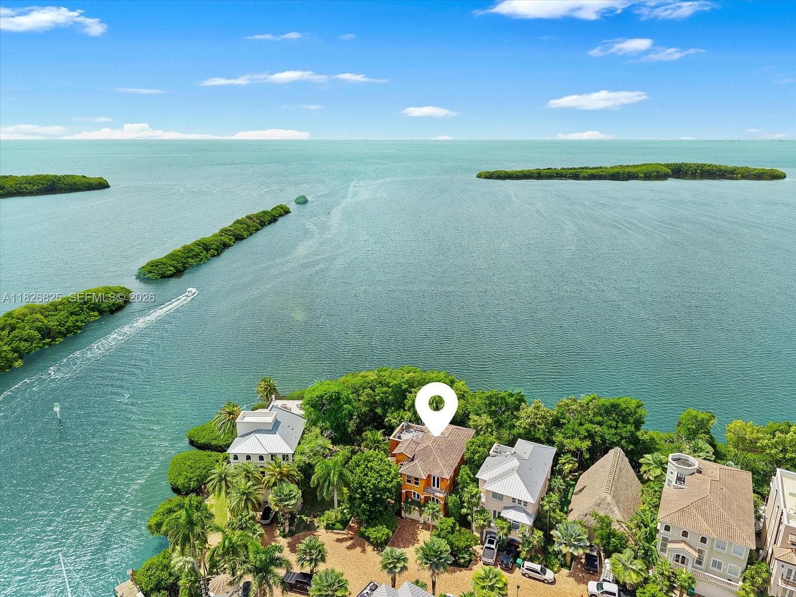 Aerial House View