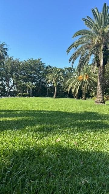 Palm Bay Condominium · #2E in Miami - Photo 49