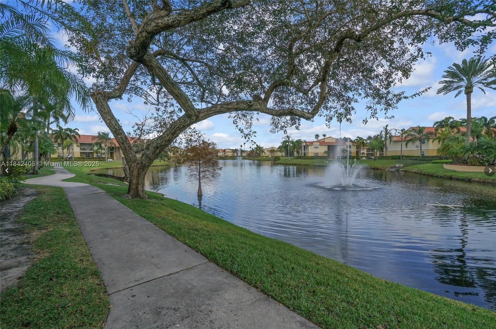 Nice long Sidewalk for Walking/Running/Dog Walk around the lake