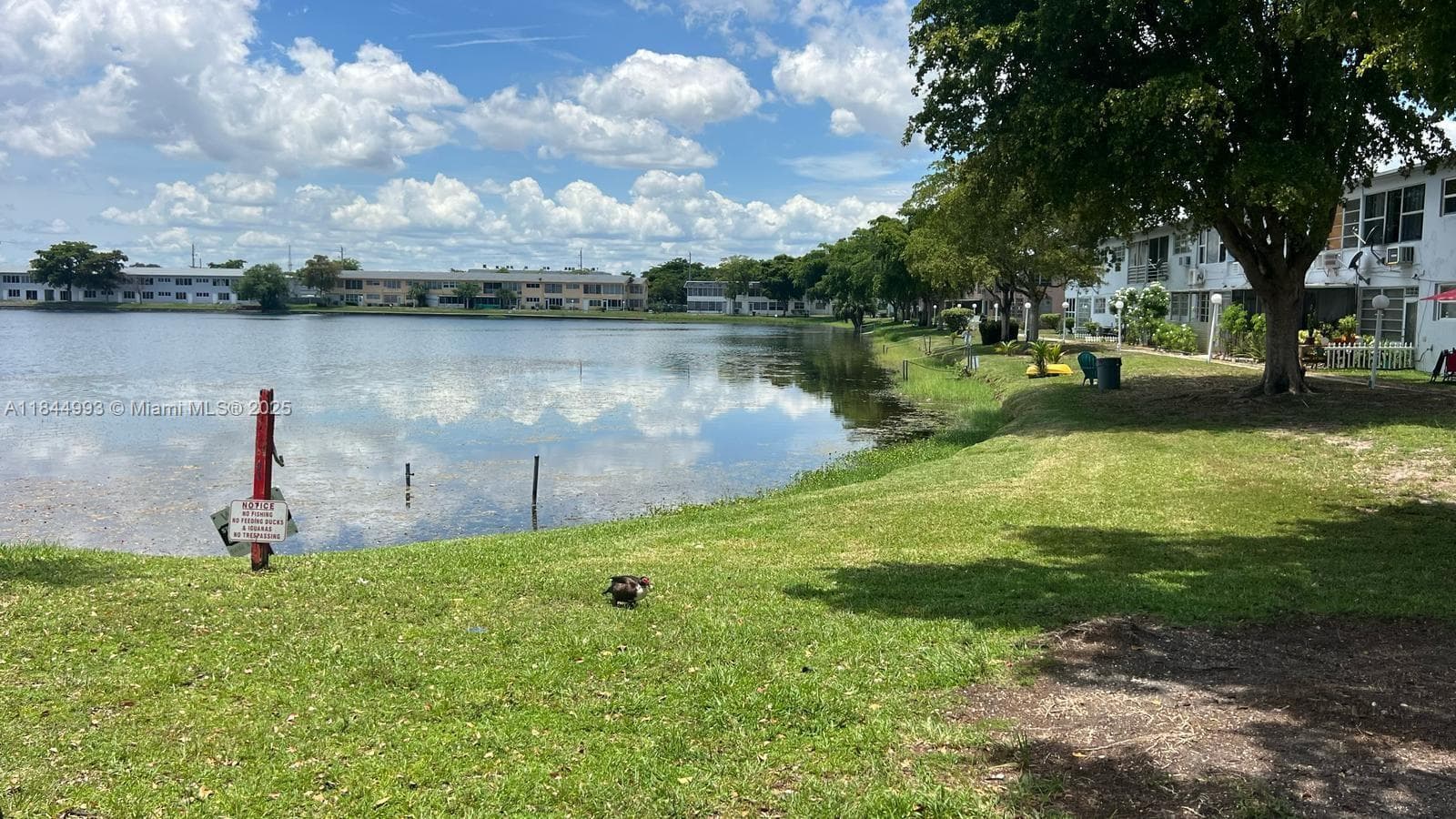 Star Lakes · #307 in Miami - Photo 17