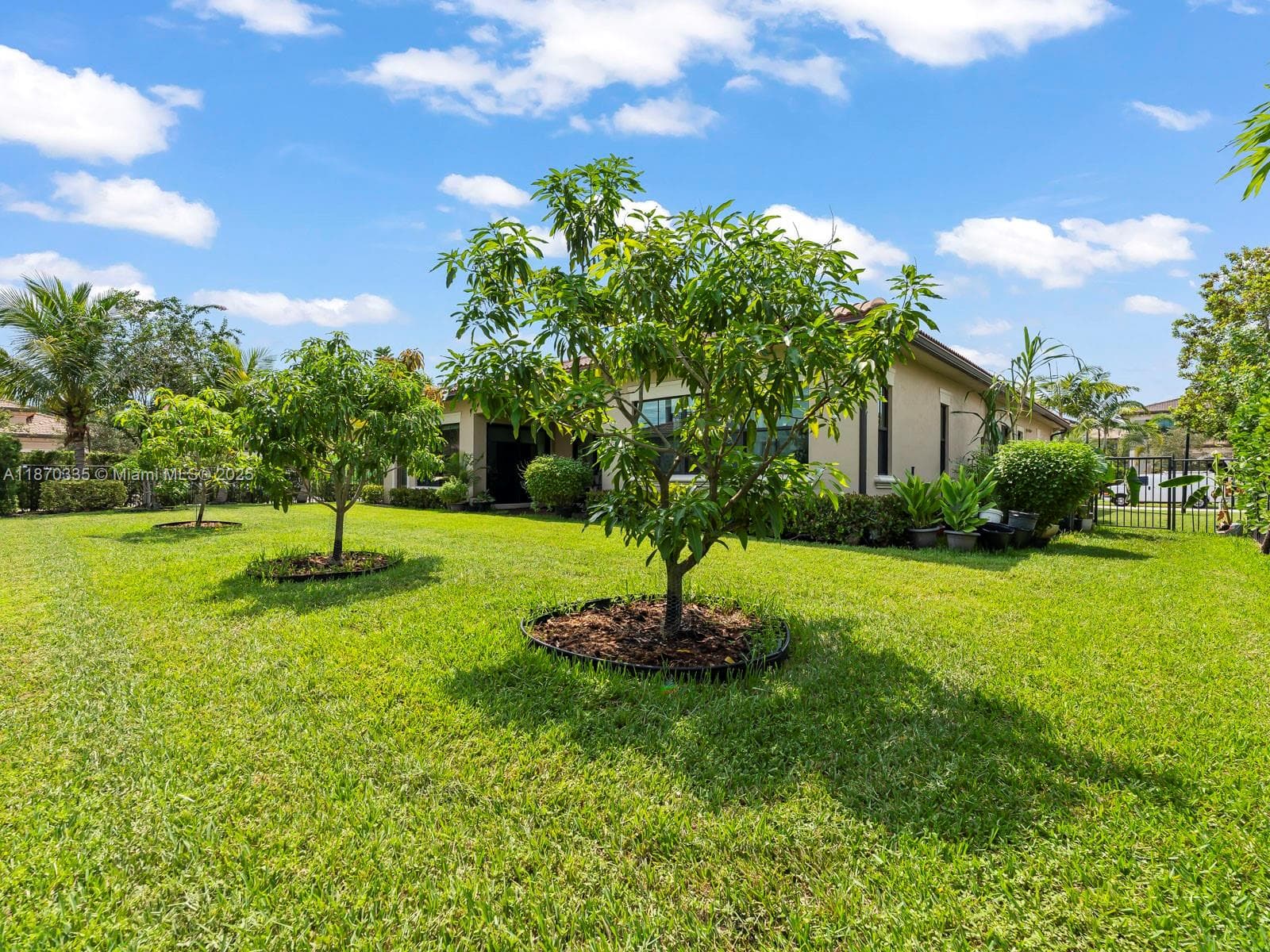 10987 Pinnacle Way photo 59