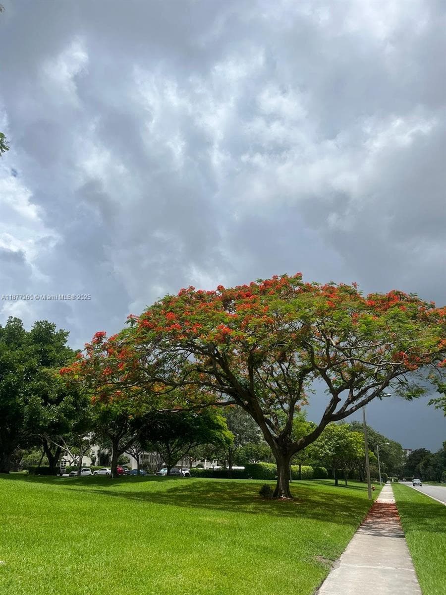 PALM-AIRE COUNTRY CLUB · #804 in Pompano Beach - Photo 28
