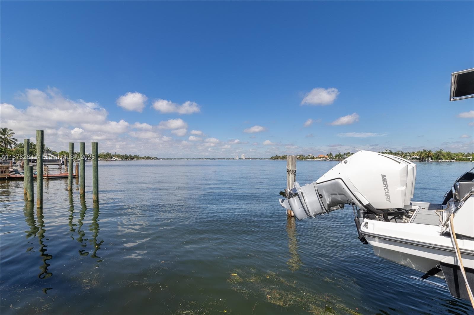 1215 N Biscayne Point Rd photo 51