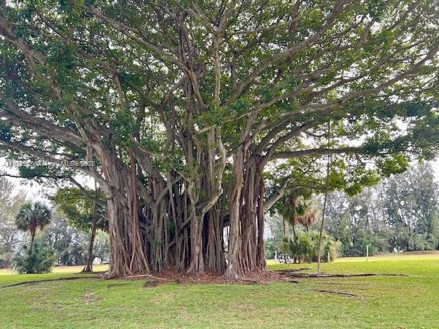 Palm Aire Country Club · #501 in Pompano Beach - Photo 40