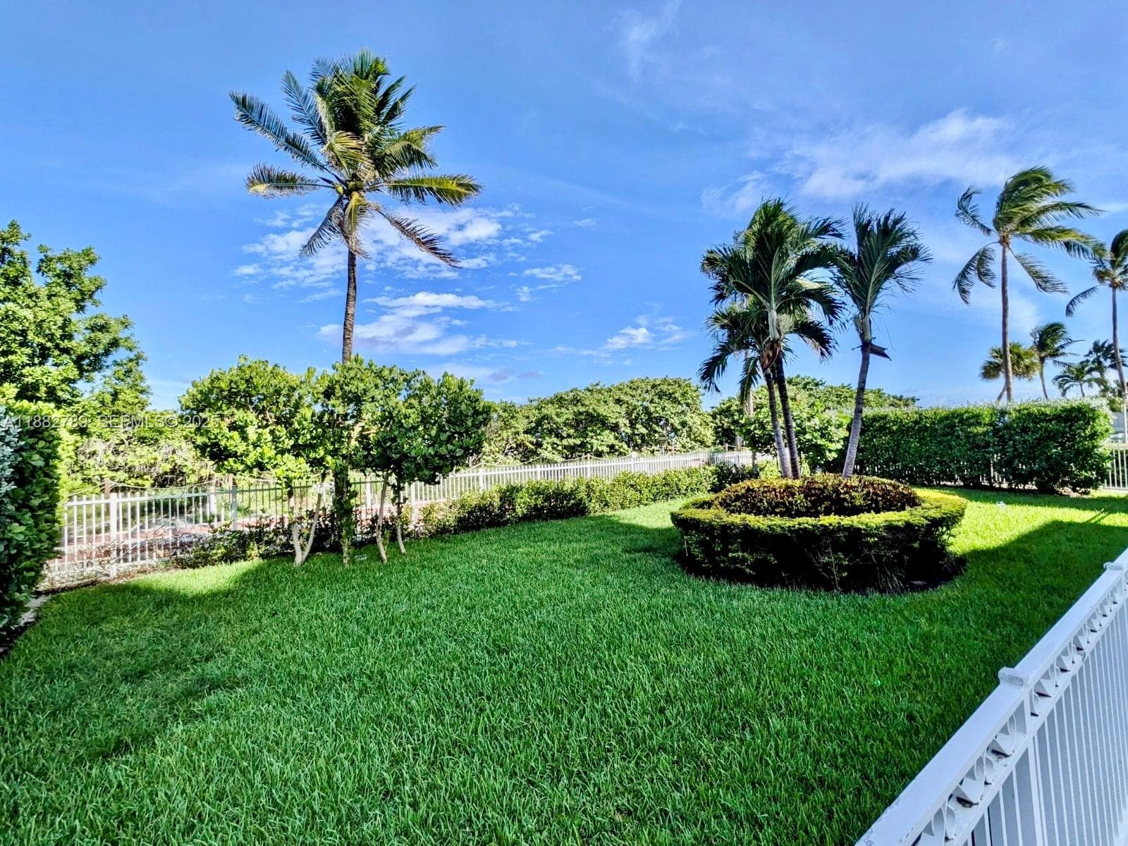Vendome yard playing area