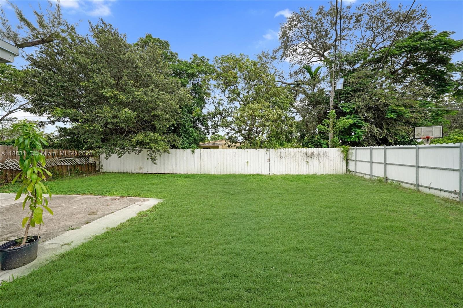 Backyard
