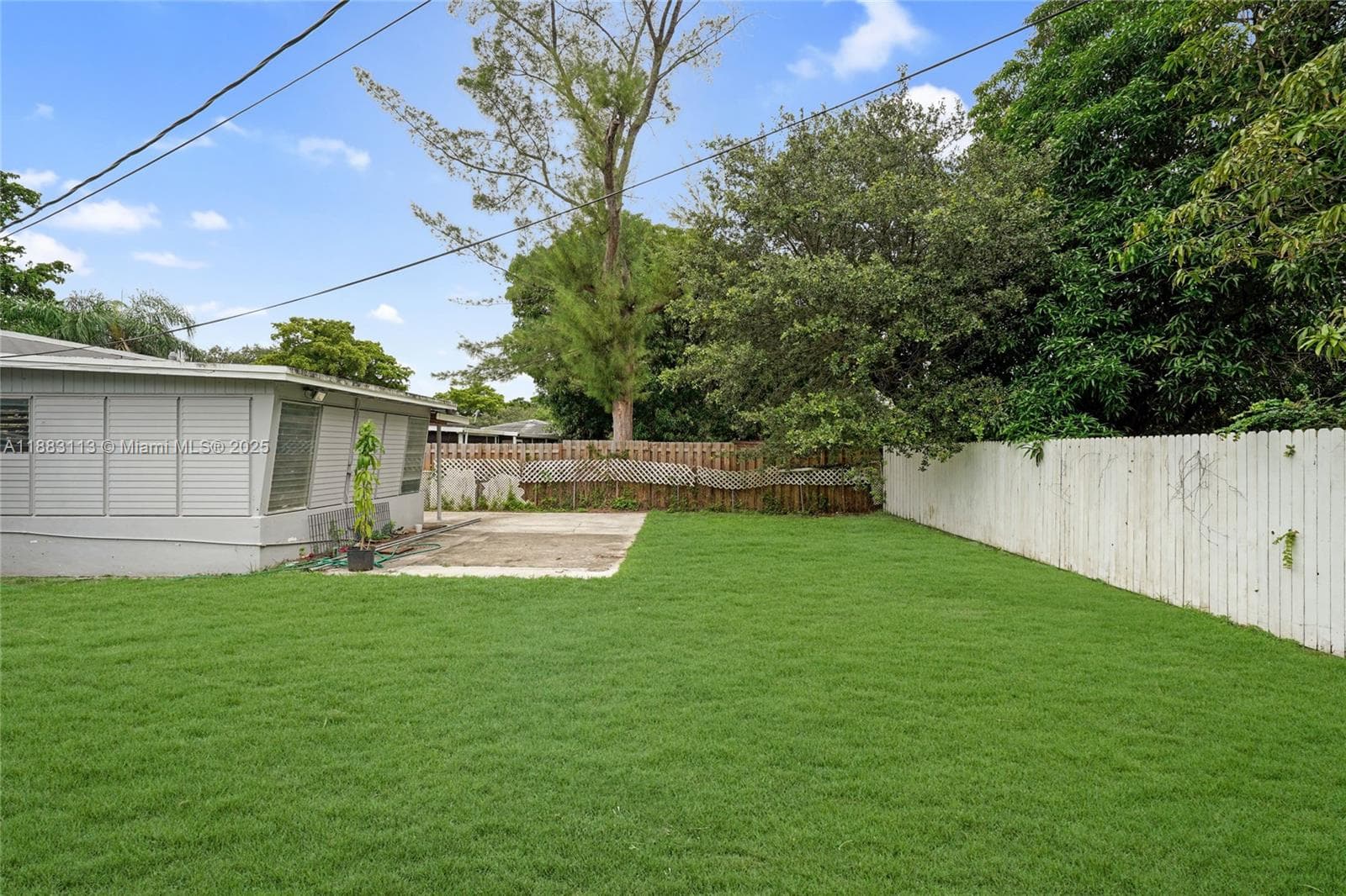 Backyard