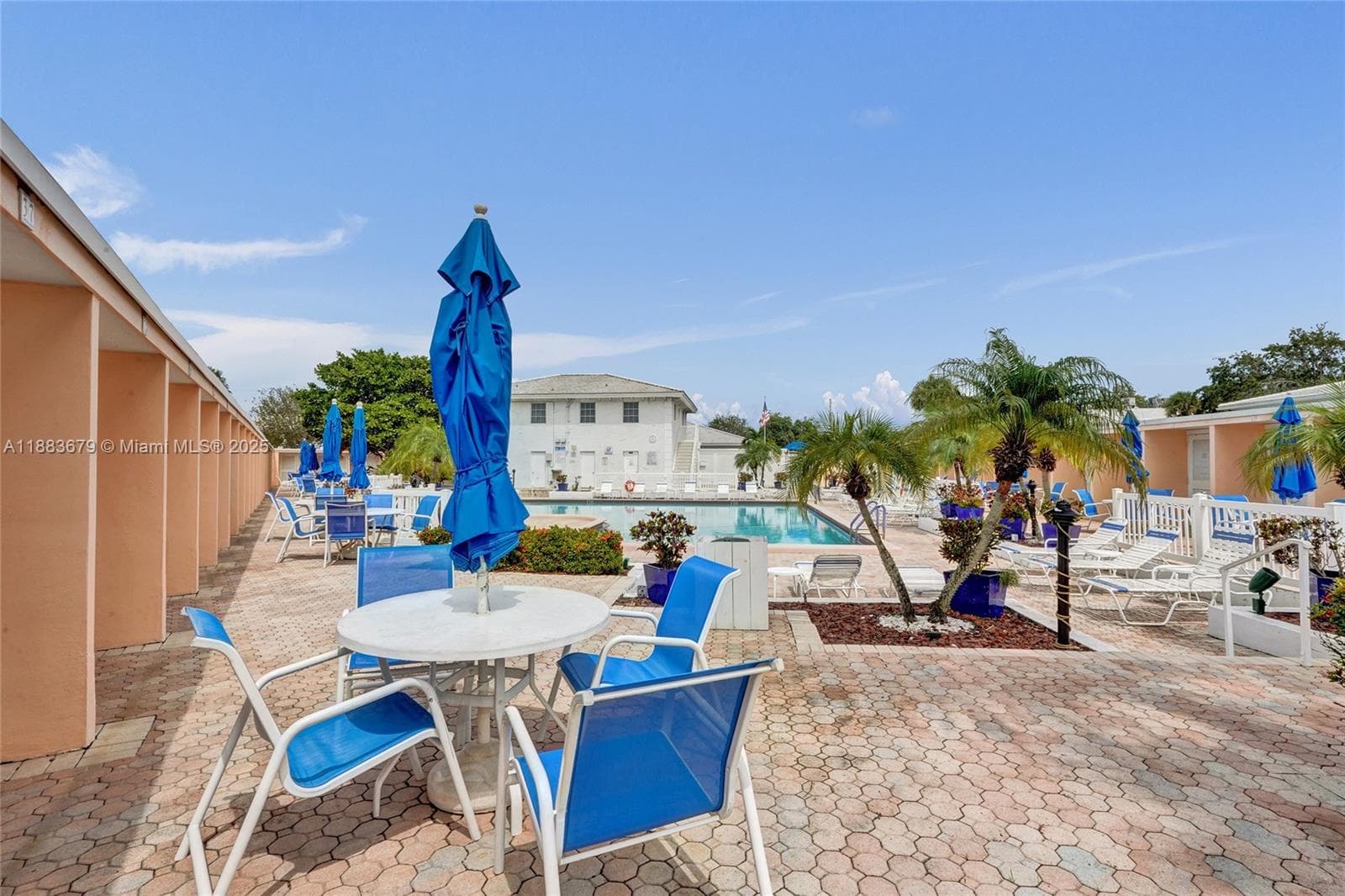 Patio pool area