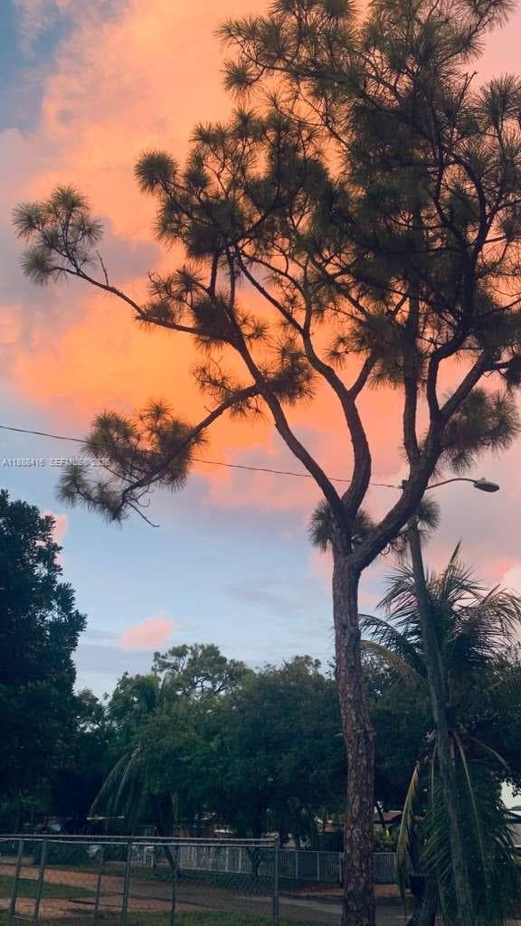 backyard at twilight