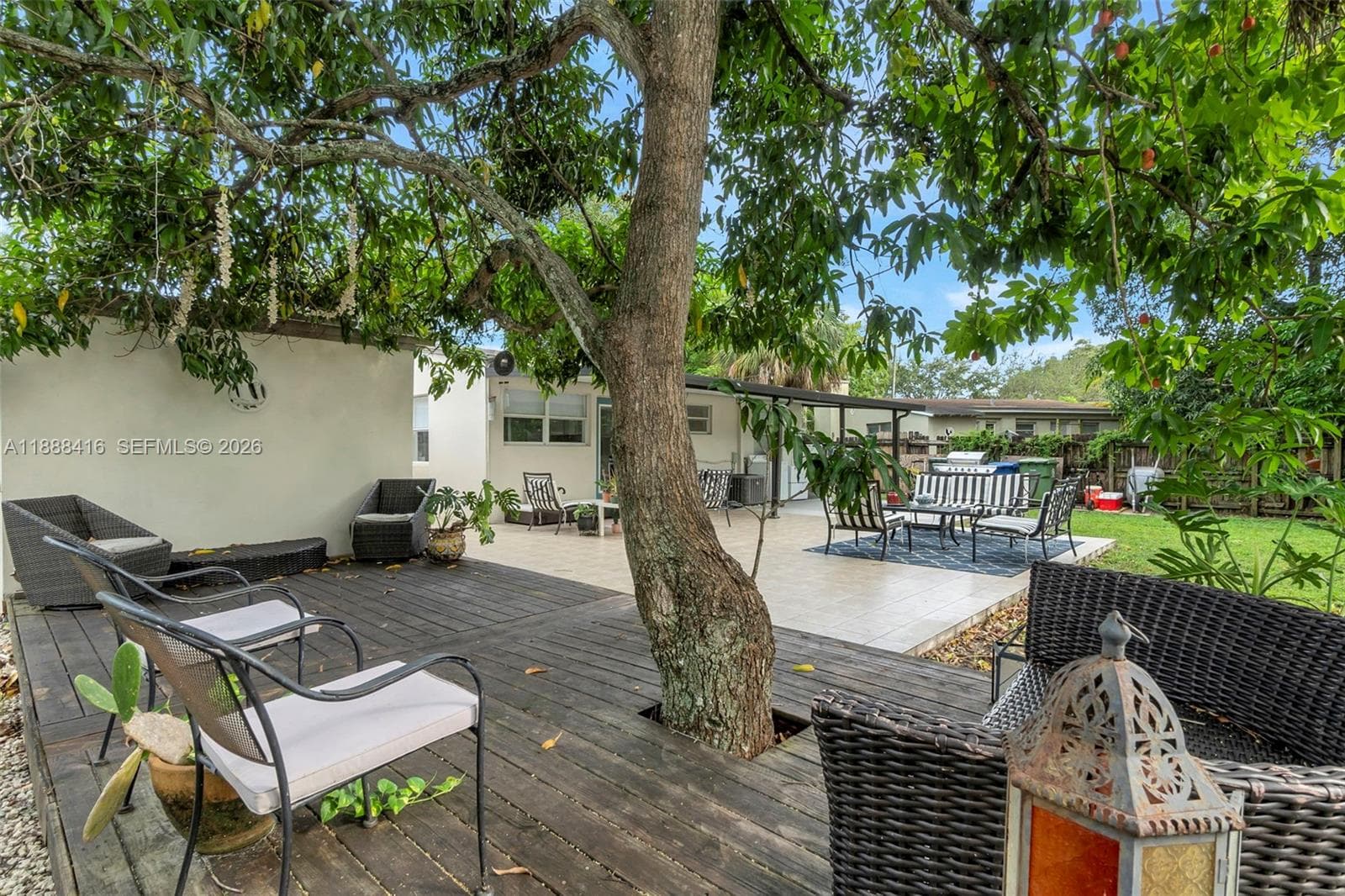 deck and mango tree