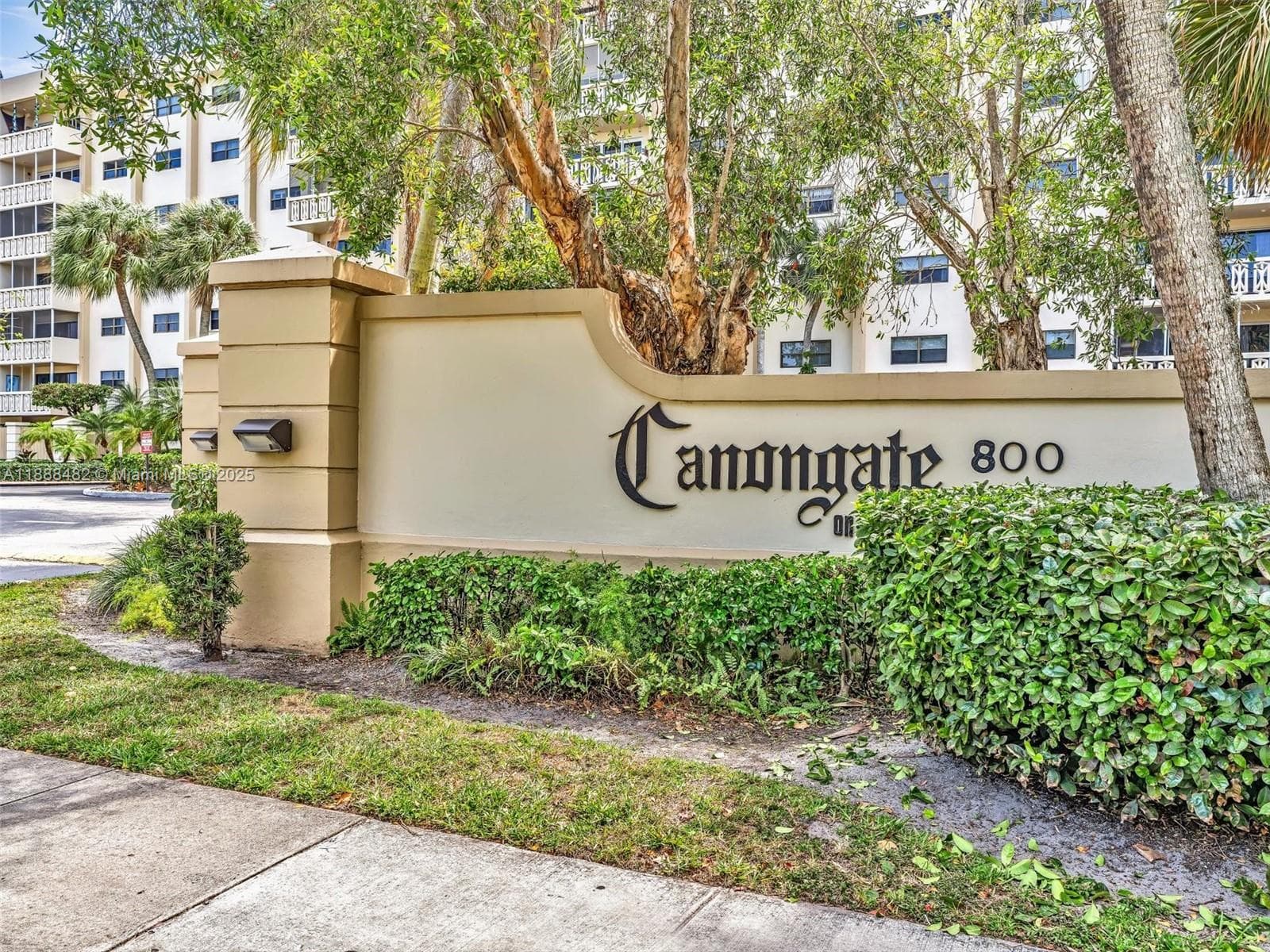 CANONGATE · #716 in Miami - Photo 38