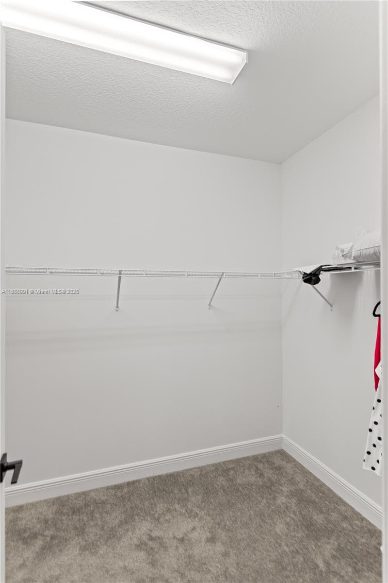 4022 Large Leaf Ln photo 15