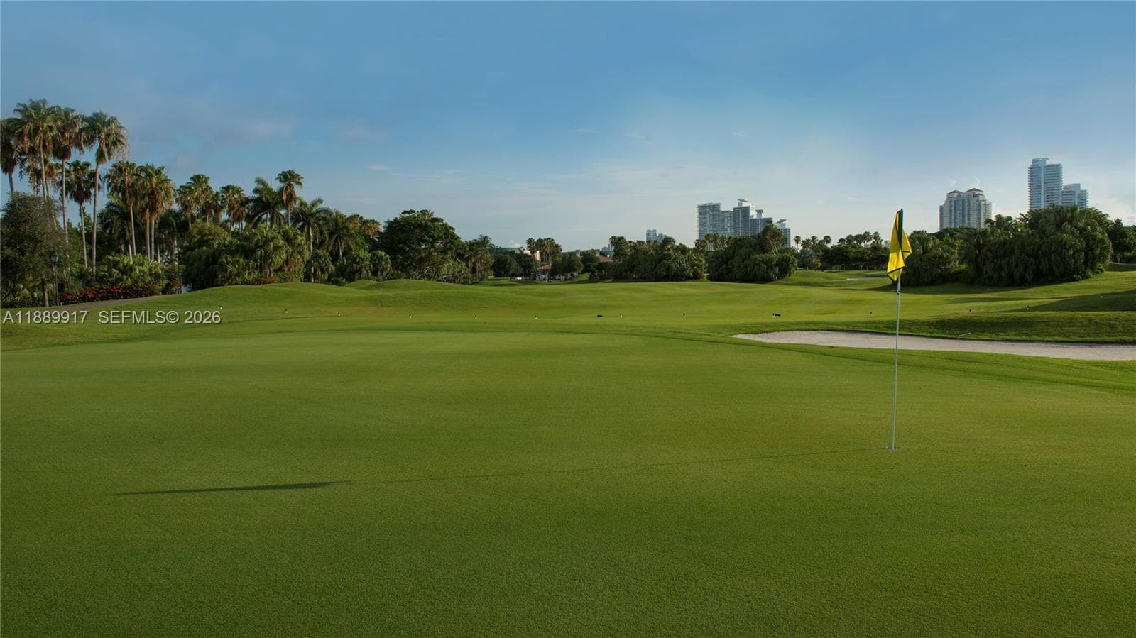 1009 Fisher Island Drive photo 31