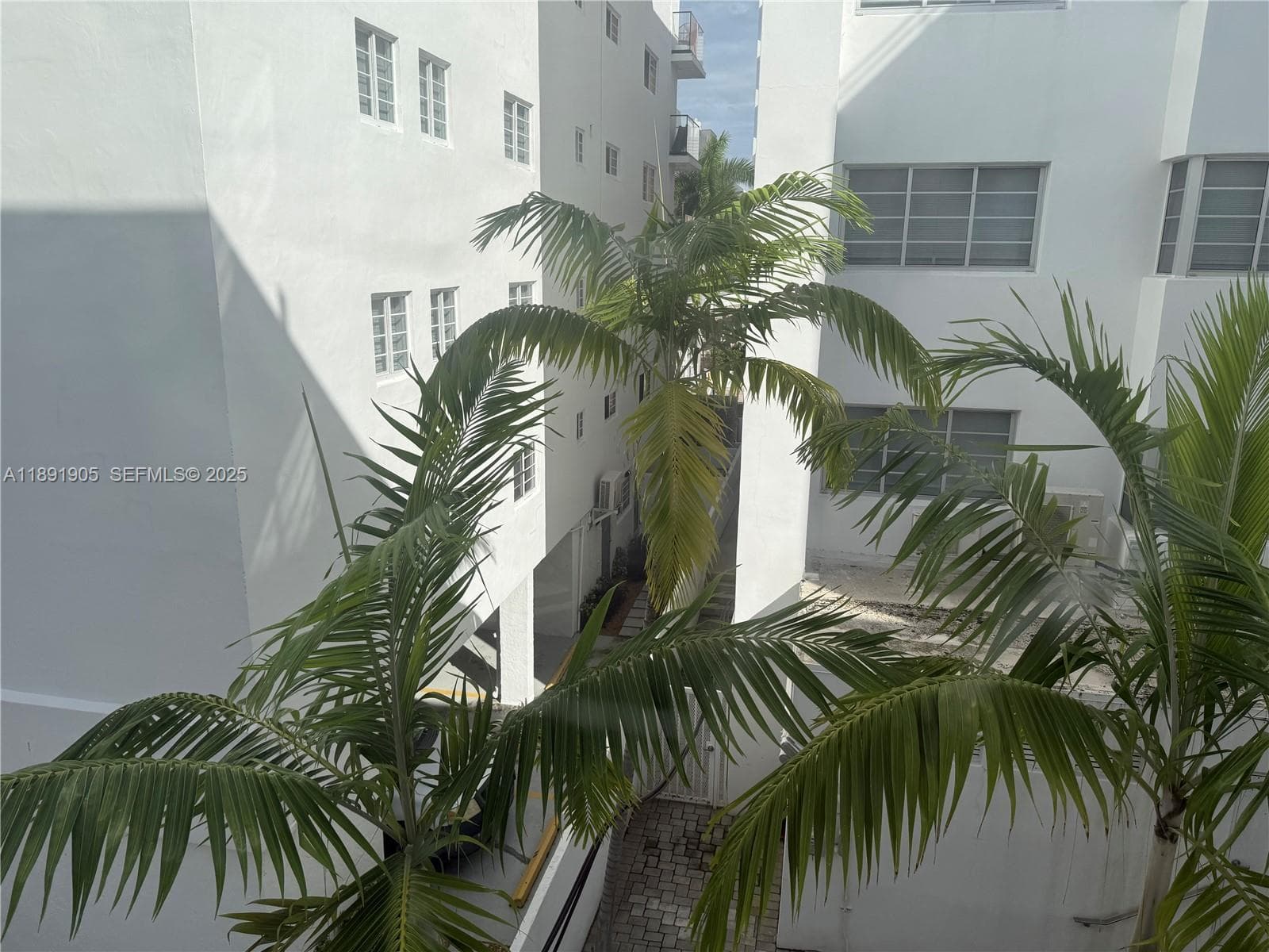 View from Unit.