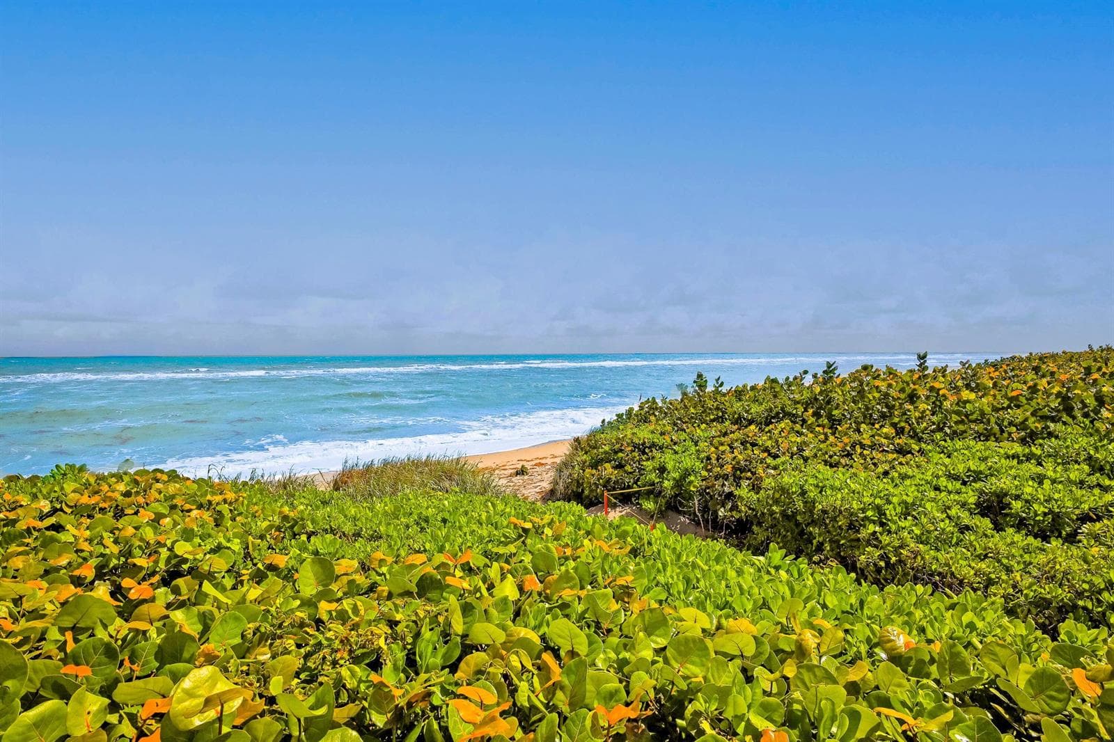 OCEANFRONT