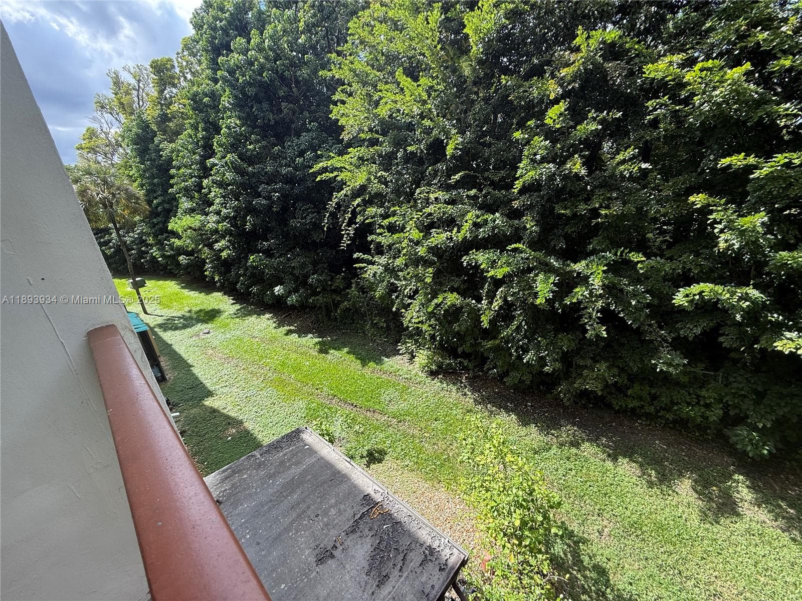 view