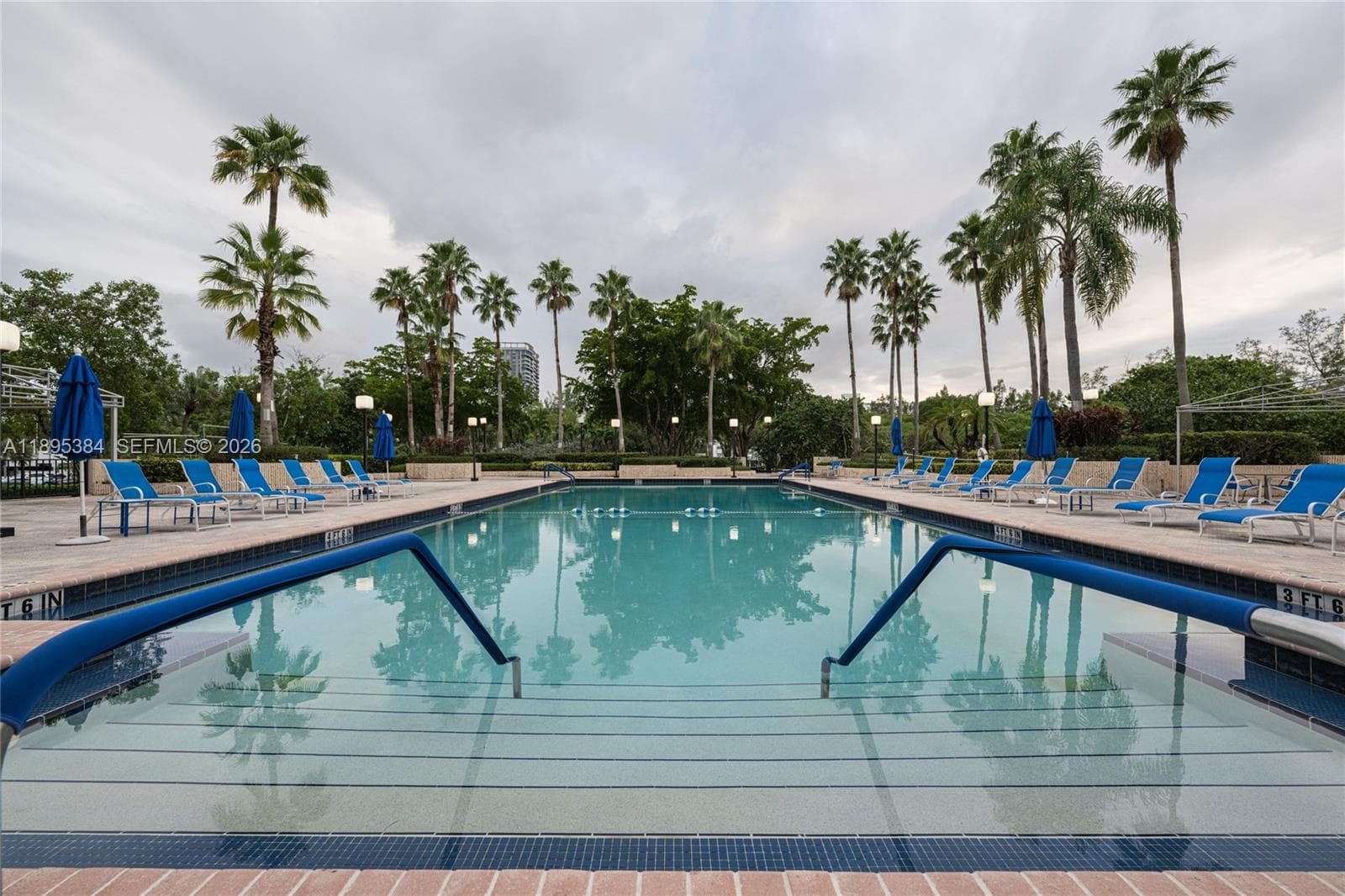 Olympus · #214 in Hallandale Beach - Photo 81