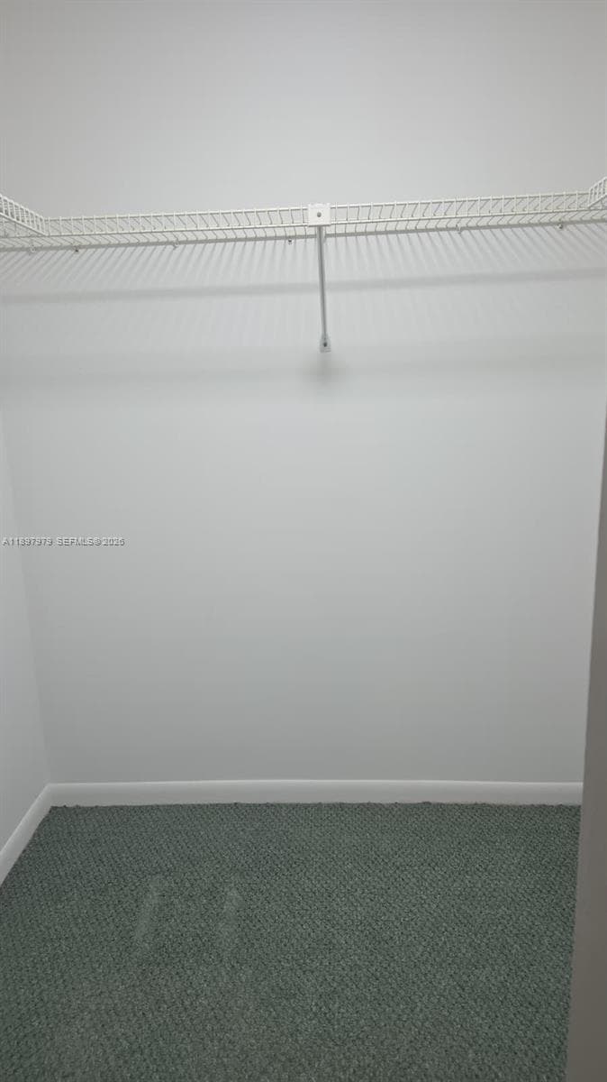 Primary bedroom with walk in closet