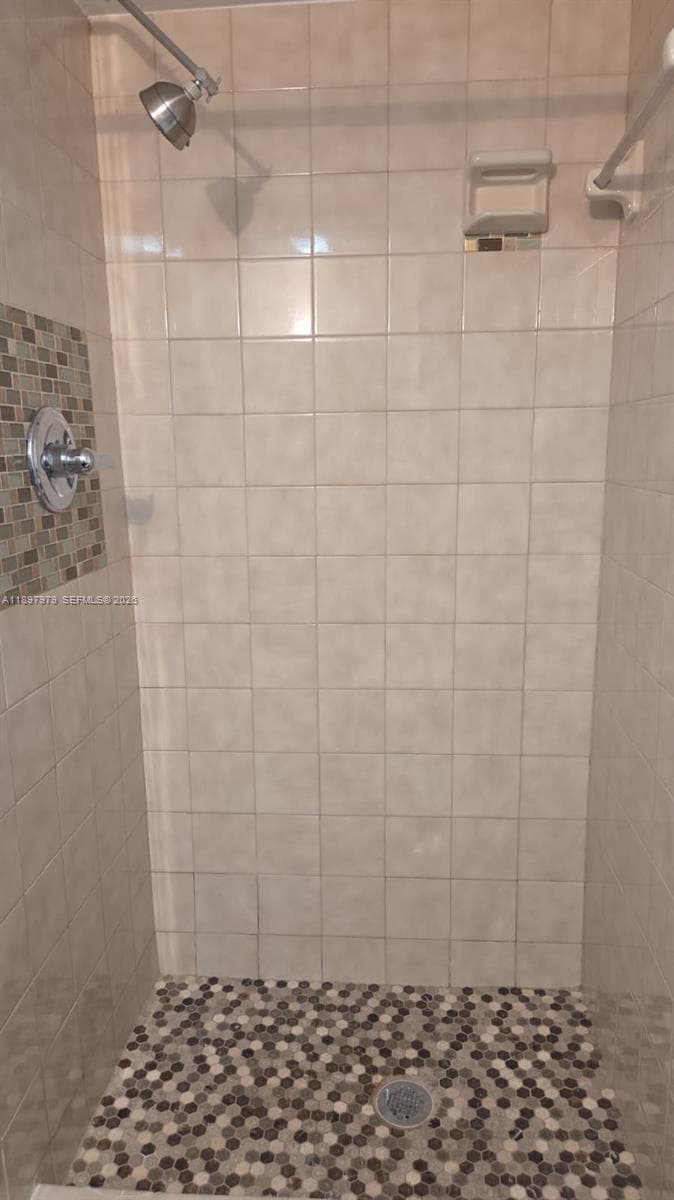 Primary bath shower