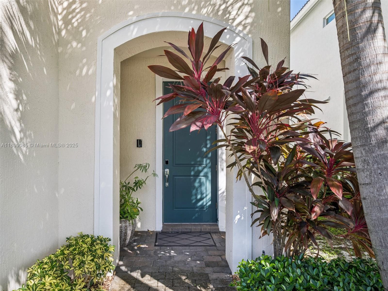 4325 Large Leaf Ln photo 9