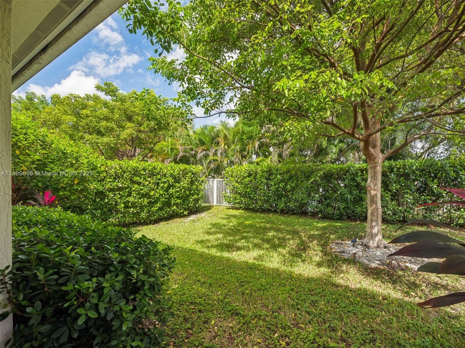 4325 Large Leaf Ln photo 48
