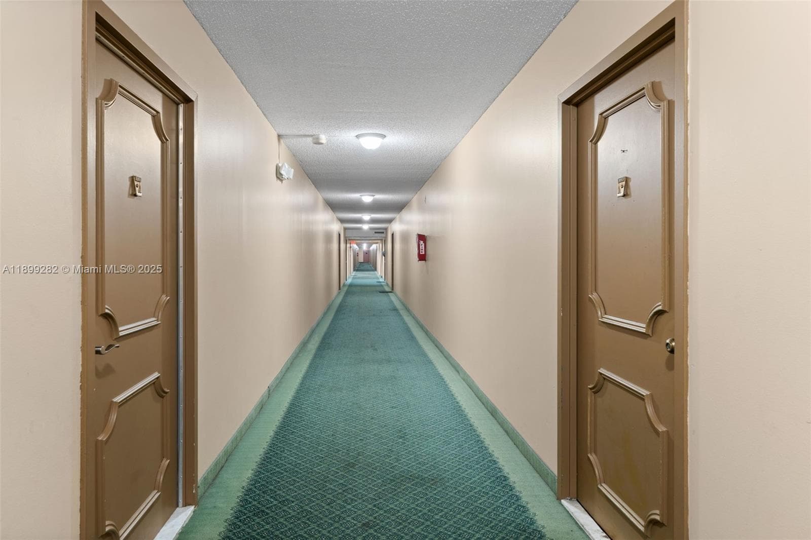 Desoto · #411 in Hallandale Beach - Photo 25