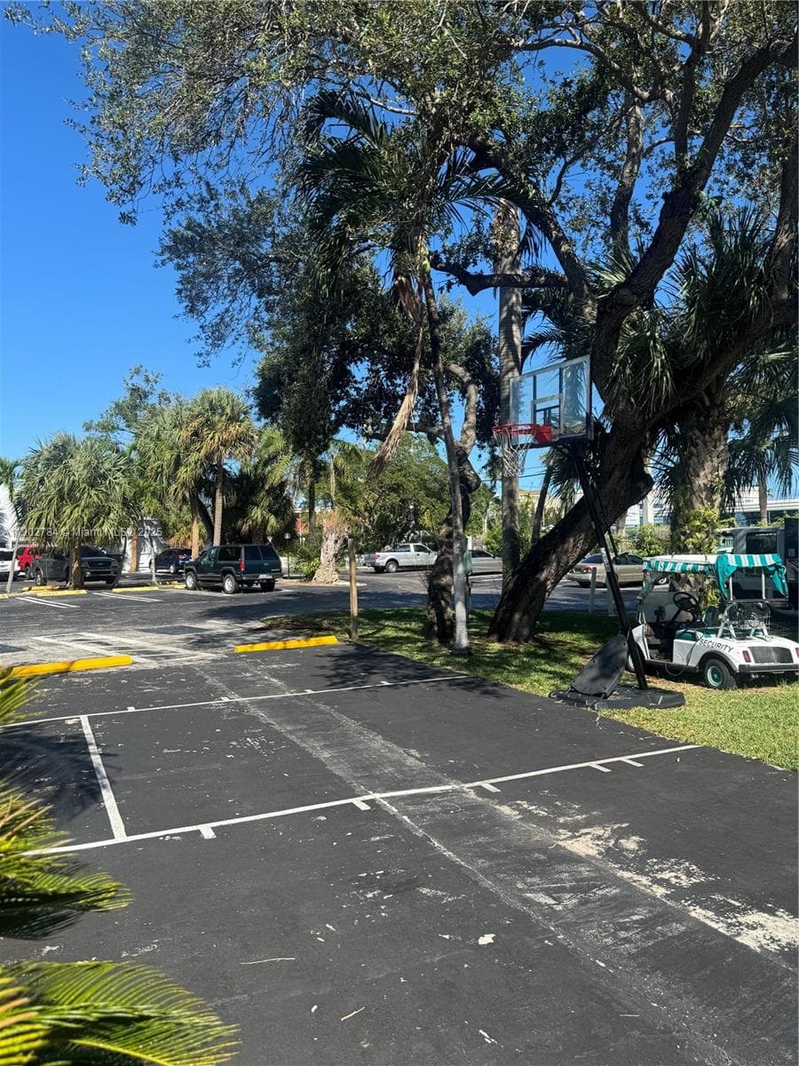 Basketball Court