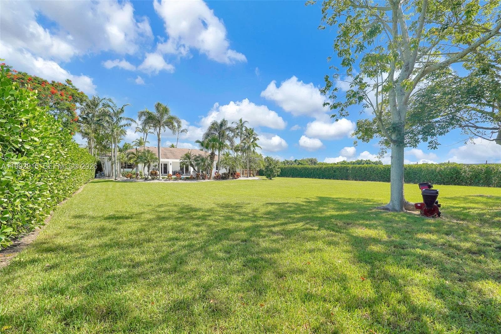 Rear acreage Yard