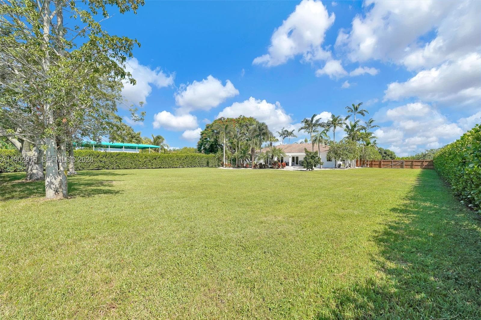 Rear acreage Yard