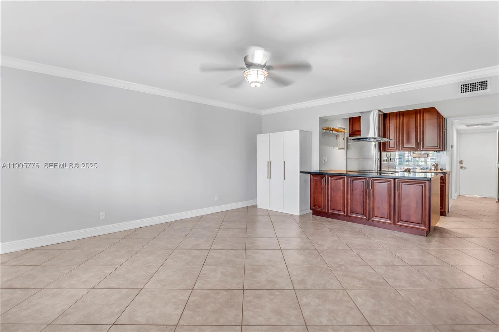 Living Area/Kitchen