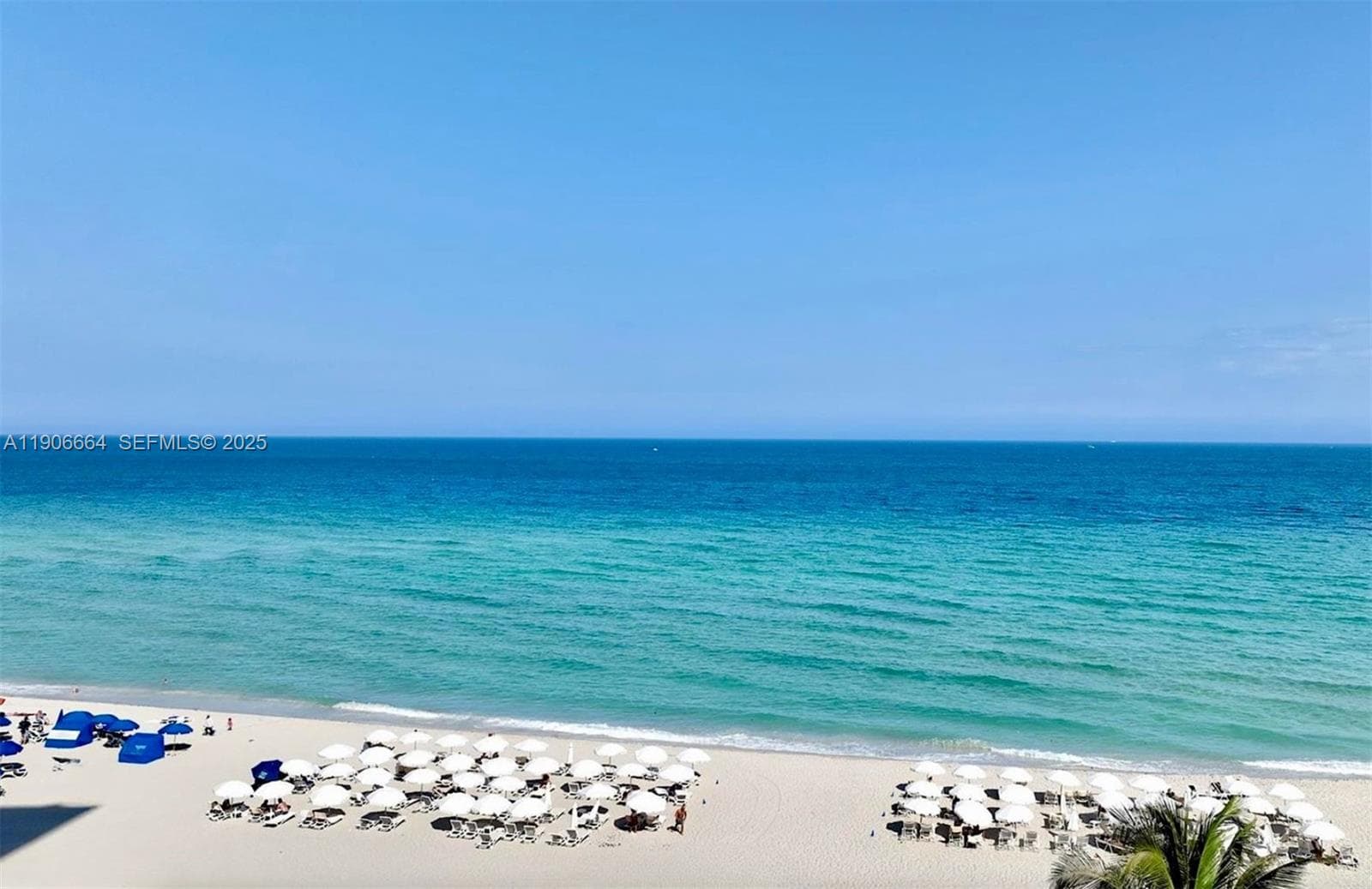 Sole on the Ocean · #602 in Sunny Isles Beach - Photo 22